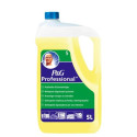 Detergente Multisuperficie Mastrolindo flacone 5 L limone PG008