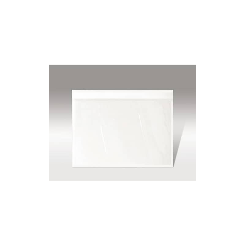 Buste autoadesive portadocumenti WePack trasparente neutro f.to 24x18 cm  conf. da 1000 buste - A-441 - Lineacontabile