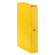 Cartelle portaprogetti Esselte C26 EUROBOX dorso 6 cm presspan biverniciato giallo - 390326090