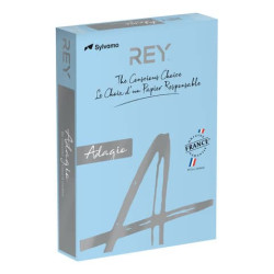 Carta colorata A3 INTERNATIONAL PAPER Rey Adagio blu tenue 48 risma 250 fogli - ADAGI160X483