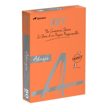 Carta colorata A4 INTERNATIONAL PAPER Rey Adagio arancio 21 risma 500 fogli - ADAGI080X639