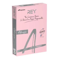 Carta colorata A4 INTERNATIONAL PAPER Rey Adagio 80 g/m² rosa risma 500 fogli - ADAGI080X643