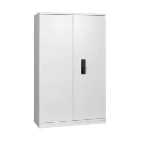 Armadio di sicurezza Phoenix grigio chiaro - RAL 7035 con chiave a doppia mappa - AM 195 K