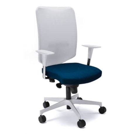 Seduta Semidirezionale Ergonomica Unisit Schienale in rete con supporto lombare blu - NWB/F11