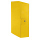 Cartella portaprogetti Esselte C90 DELSO ORDER dorso 10 cm presspan lucido giallo 25x35 cm  - 390390