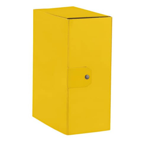 Cartelle portaprogetti Esselte C95 DELSO ORDER dorso 15 cm presspan lucido giallo 25x35 cm - 3903950