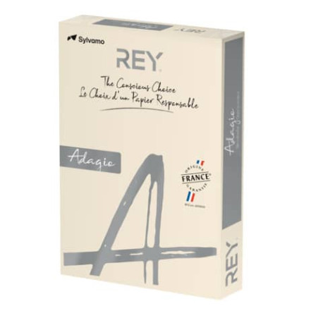 Carta colorata A4 INTERNATIONAL PAPER Rey Adagio 160 g/m² avorio risma da 250 fogli - ADAGI160X475