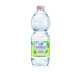 Acqua minerale 500 ml San Benedetto Ecogreen naturale in conf. da 24 pezzi - D_1883